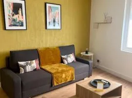Appartement hyper centre climatisé