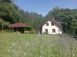 Domek v osadě Kladiny