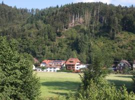 Ferienwohnung am Rain, apartmán v destinaci Winden im Elztal