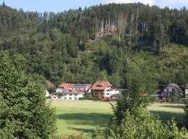 Ferienwohnung am Rain