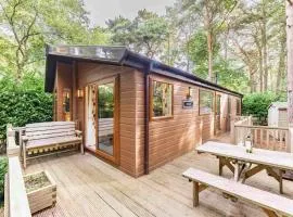 Pine Lodge - Norfolk Cottage Agency