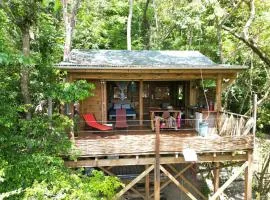 cabane entre les arbres