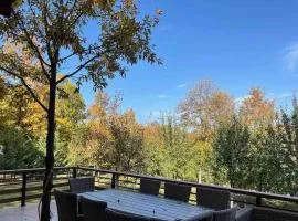 Villa Mali Stanishor