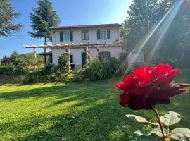 La rosa sul lago