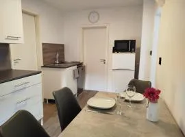 Ferienwohnung Harz in Ballenstedt
