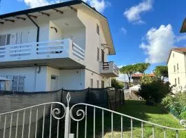 Sunflowers house