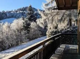 Chalet Lombard - CHALET 10 PERSONNES MAE-2711
