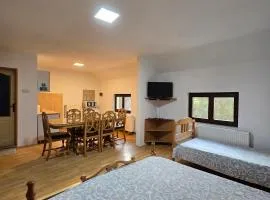 STD "Vila Bor" Stara planina