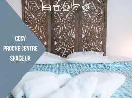 LE PETIT VOLTAIRE - Proche Centre Ville - Spacieux