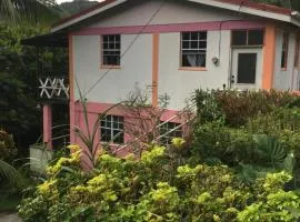 Anthurium Apartment