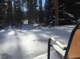 Great Location - Budget Condo - Ski In - 3 Blocks to Main Street，布雷肯里奇的飯店