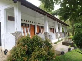 Green View Guest House only treking with US