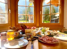 Heidahüs Penthouse, Hotel in Grächen