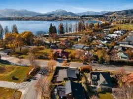 Lake Living That Wanaka Tree