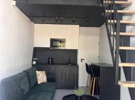 Black and white loft apartment