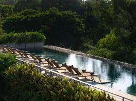 Treeline Urban Resort