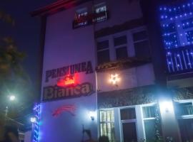 Pensiunea Bianca, hotel din Botoşani