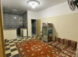 Elaraby 2
