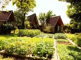 Buon'S garden