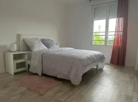 Aéroport CDG, Paris Disneyland, Eiffel Tower, JO 2024