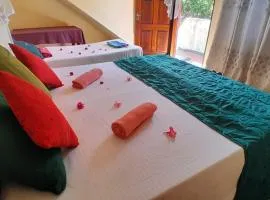 NEW SEA LION Guest House