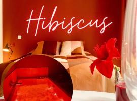 Hibiscus - Balnéo - Netflix & Chill, hotel v destinaci Montargis