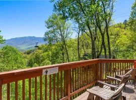 A Million Dollar View