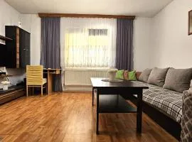 Holiday house with a big garden and free parking