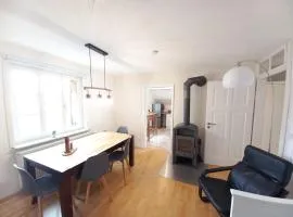 Aparte 3-Zi-Wohnung im Oberallgäu direkt am Berg!
