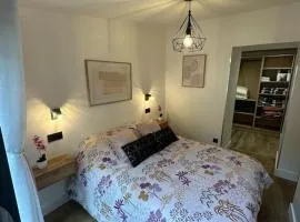 Le Briand Appartement 4étoiles Nancy Thermal Cosy avec Terrasse Wifi