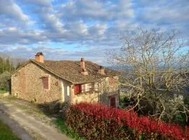 Il Rustico Vicopisano