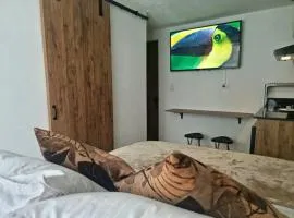 Casa de las Palmas 2