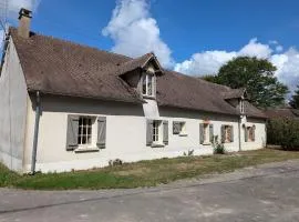 Ferme rénovée en Sologne avec cheminée, fibre et jardin, proche de Gien et Sancerre - FR-1-590-81