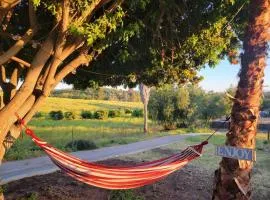 Exotic Gem Relaxing Farm Vibes Near Safari Zoo, Legoland & Wineries
