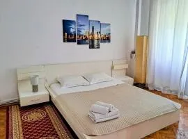 Luxury Apartment Piata Romana