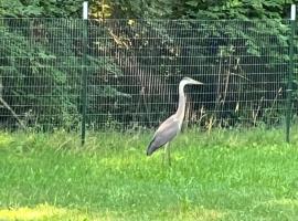 Marengo, chata v destinaci Marengo