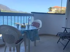 LJ holidays