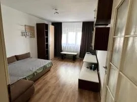 Garsonieră Băile Felix
