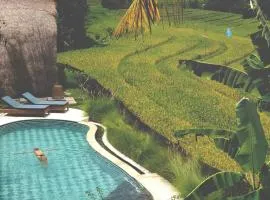 Dharma Oasis