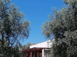 Casale Santa Maria di Pulsano - Gargano