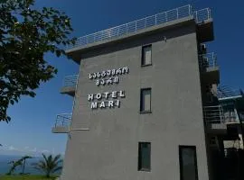 Mari's hotel sarfi
