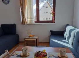 Kopaonik apartman 11