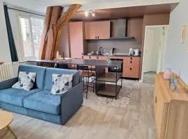 Lumineux T2 50 m2 - hypercentre Besançon