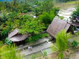 Tropical Jungle lodge & Jungle trekking