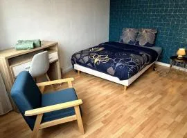 Coloc Cursat - Green Room