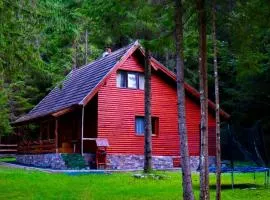 Cabană în inima munților 2 - Gálkuti Kulcsosház