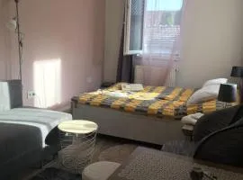 Agancsos Vendèghàz