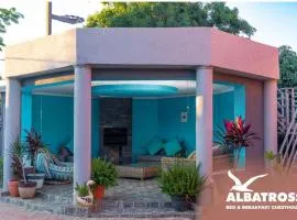 The Albatross