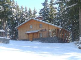 Elitza Villa, hotel a Pamporovo