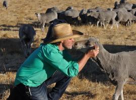 DONN4254S - Wilga Farm Stay - Shearer's Shack Single, ξενοδοχείο σε Boyup Brook